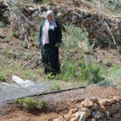 Urgent Appeal for Al-Makhrour: Protecting Land, Culture, and Livelihoods